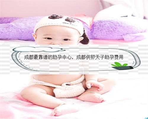 上海有代孕机构吗,打造顶尖品质的代怀生子服务